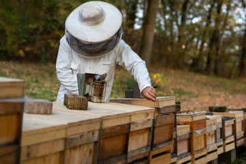 Imker beim Kontrollieren seiner Bienenv&ouml;lker