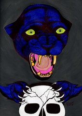 PANTERA NEGRA © Israel Barrios