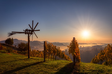 Autumn sunrise in a vineyard, Südsteiermark, Austria - 229978727
