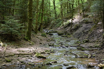 Obraz premium Hörschbachschlucht