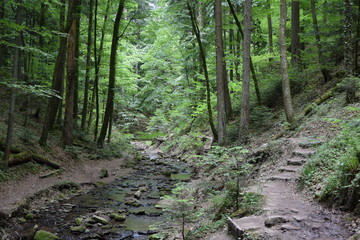 Hörschbachschlucht