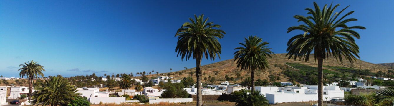 Valle de las mil palmeras, Har&iacute;a, Lanzarote, &icirc;les Canaries