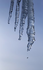 icicles on white background of blue sky