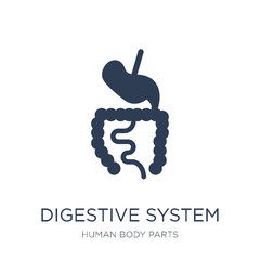 Digestive System icon. Trendy flat vector Digestive System icon on white background from Human Body Parts collection