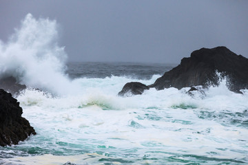 Pacific ocean waves