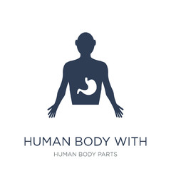 Human body with x ray plate focusing on stomach icon. Trendy flat vector Human body with x ray plate focusing on stomach icon on white background from Human Body Parts collection