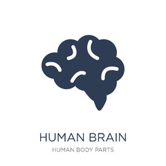 Human Brain icon. Trendy flat vector Human Brain icon on white background from Human Body Parts collection