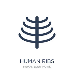 Human Ribs icon. Trendy flat vector Human Ribs icon on white background from Human Body Parts collection