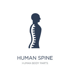 Human Spine icon. Trendy flat vector Human Spine icon on white background from Human Body Parts collection