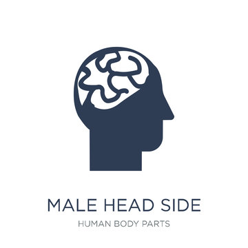 Male head side view with brains icon. Trendy flat vector Male head side view with brains icon on white background from Human Body Parts collection