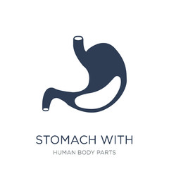 Stomach with Liquids icon. Trendy flat vector Stomach with Liquids icon on white background from Human Body Parts collection