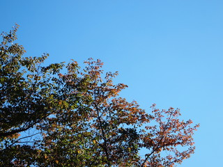 空