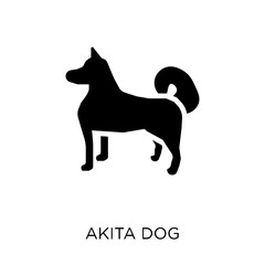 Akita dog icon. Akita dog symbol design from Dogs collection.