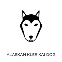 Alaskan Klee Kai dog icon. Alaskan Klee Kai dog symbol design from Dogs collection.