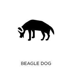 Beagle dog icon. Beagle dog symbol design from Dogs collection.