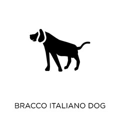 Bracco Italiano dog icon. Bracco Italiano dog symbol design from Dogs collection.