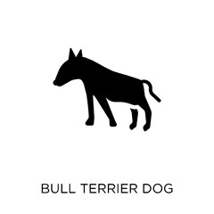 Bull Terrier dog icon. Bull Terrier dog symbol design from Dogs collection.