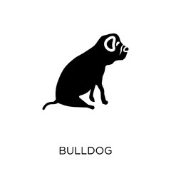 Bulldog icon. Bulldog symbol design from Dogs collection.