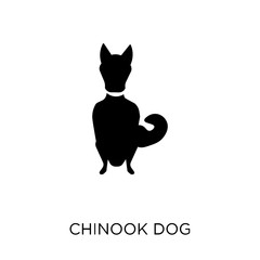 Chinook dog icon. Chinook dog symbol design from Dogs collection.