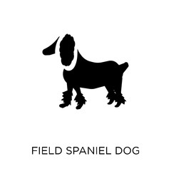 Field Spaniel dog icon. Field Spaniel dog symbol design from Dogs collection.