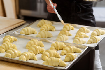 Egg wash for crescent rolls © yuriygolub