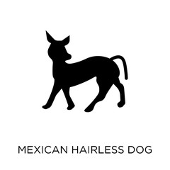 Mexican Hairless Dog dog icon. Mexican Hairless Dog dog symbol design from Dogs collection.