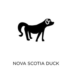 Nova Scotia Duck Tolling Retriever dog icon. Nova Scotia Duck Tolling Retriever dog symbol design from Dogs collection.