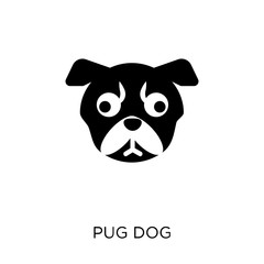 Pug dog icon. Pug dog symbol design from Dogs collection.