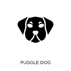 Puggle dog icon. Puggle dog symbol design from Dogs collection.