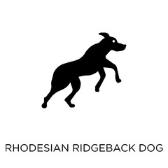Rhodesian Ridgeback dog icon. Rhodesian Ridgeback dog symbol design from Dogs collection.