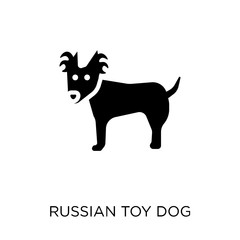 Russian Toy dog icon. Russian Toy dog symbol design from Dogs collection.