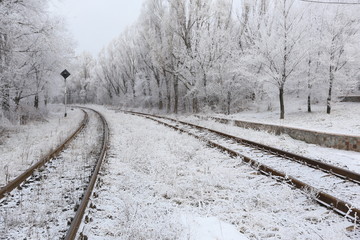 Obraz premium Snow-covered railroad tracks