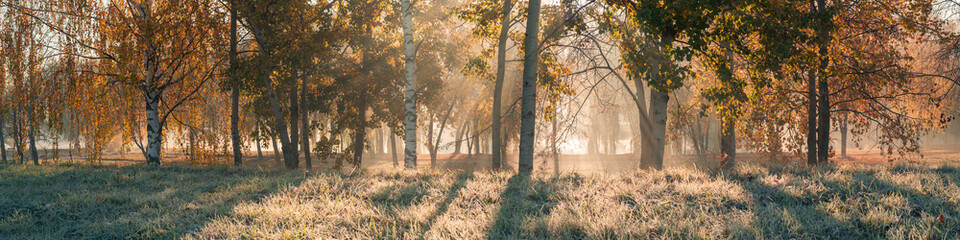 panoramic autumn morning landscape. the sun's rays make their way through the foliage and morning fog in the city park