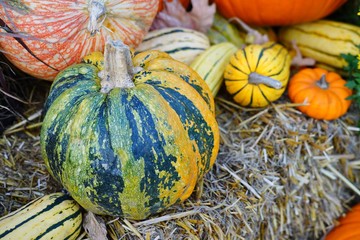 Display of colorful decorative heirloom pumpkins and gourds in the fall