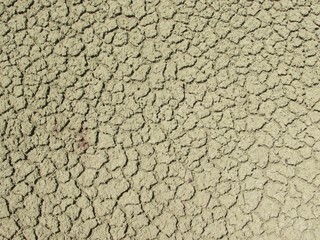 A close up of dried, cracked mud 