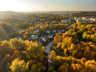 Aerial colorful forest scene in autumn with orange and yellow foliage.