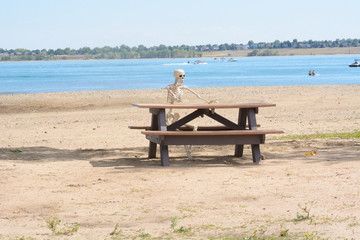 Fototapeta na wymiar Halloween skeleton sitting at picnic bench on beach of drought-stricken lake reservoir with receding water level