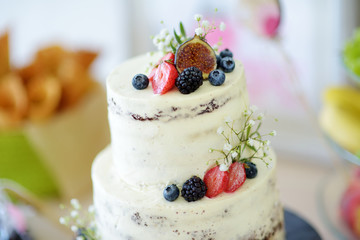 Delicious chocolate wedding cake decorated with fruits and berries