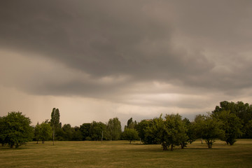sunset over green field