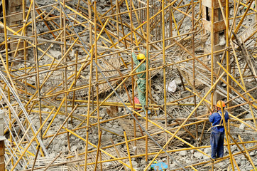 Scaffolding forest after disaster.