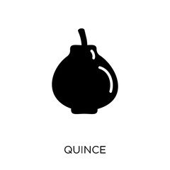 quince icon. quince symbol design from Fruitandvegetables collection.