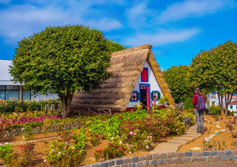 Fototapeta na wymiar Traditional huts houses and a tropical garden in Santana region of Madeira island, Portugal