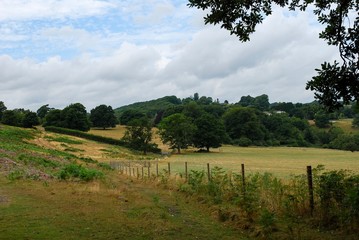 Colors of summer in the heart of England. Some rural views of Belper surroundings.