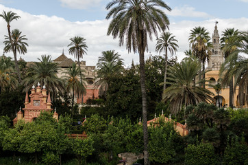Fototapeta na wymiar Palms and trees at the Alcazar