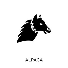 Alpaca icon. Alpaca symbol design from Animals collection.