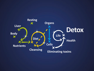 Detox 2019 word cloud blue background vector
