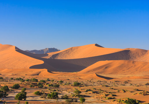 Red sand dunes of the Namib desert in morning light