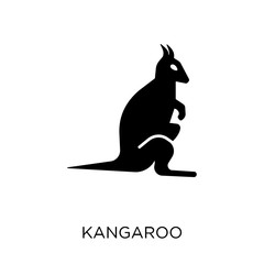 Kangaroo icon. Kangaroo symbol design from Animals collection.