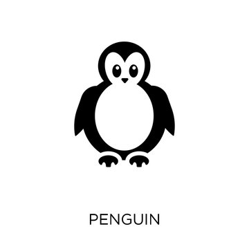 Penguin icon. Penguin symbol design from Animals collection.