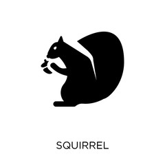 Squirrel icon. Squirrel symbol design from Animals collection.